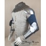 Arms for duel fight