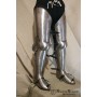 Full titanium legs Alex 2
