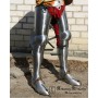 Legs Charle VI