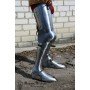 Legs Charle VI