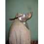 Sallet