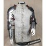 Set titanium arms Alex T