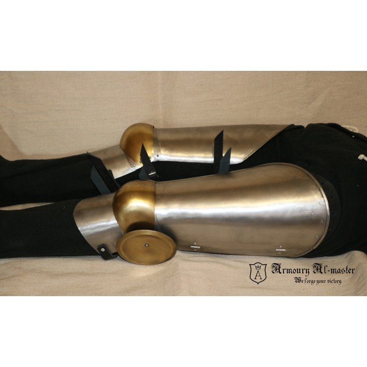 Titanium leg harness R2