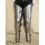 Titanium legs Ross
