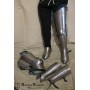 Titanium legs Ross