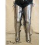 Titanium legs Ross
