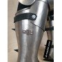 Titanium legs Ross 2